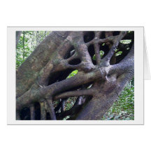 Strangler Fig Greeting Card
