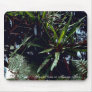 Strap Fern Mouse Pad