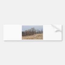 Straw Fields Bumper Stickers