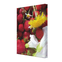 Strawbeey a enveloppé la toile toiles tendues