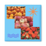 strawberries,apples, and tangerines refrigerator magnets