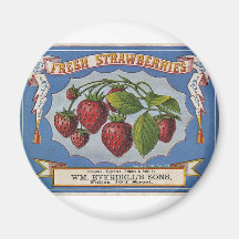 Strawberries Magnets