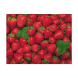 Strawberries Postcards