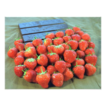 Strawberries with dark Valrhona chocolate Photographic Print
