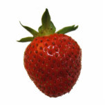 Strawberry ~ acrylic photo sculptures