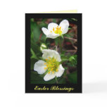 Strawberry Blossoms for Easter Greeting Cards