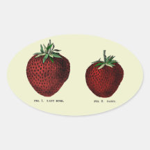 Strawberry Botanicals Oval Stickers