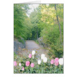 Strawberry Fields, Central Park cards