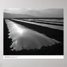 Strawberry Fields with Plastic Fumigation Covers Poster
