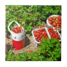 Strawberry Heaven Ceramic Tiles