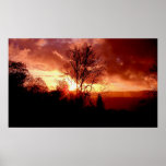 Strawberry Sunrise