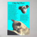 Stray Dog's Prayer posters