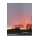 Streaky February Dawn Sky postcards