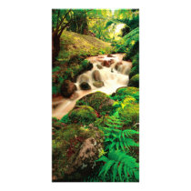 Stream in the forest photo card template