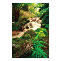 Stream in the forest photo print