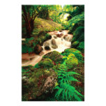 Stream in the forest stationery paper