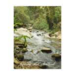 Stream In The Hills Post Card