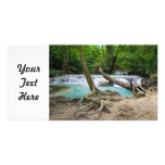Stream in the Tropical Jungle photo cards
