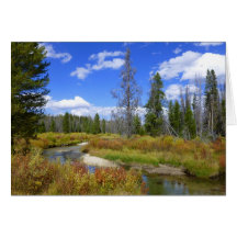 Stream near Redfish lake, Idaho. Greeting Card