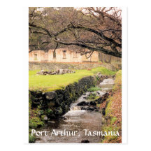 stream, Port Arthur, Tasmania Postcard