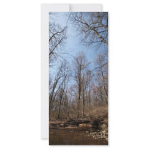 Stream Full Color Rack Card