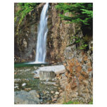 Stream Waterfall Into Pool Flyers