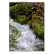 Streams Brooks Water Moss Leaves Greeting Card