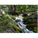 Streams Moss Water Forests Rocks photo sculptures