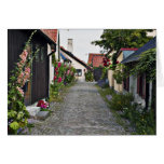 Street in old Visby Sweden Card
