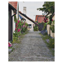 Street in old Visby Sweden Flyer