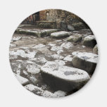 Street in Pompeii - Stones in street Fridge Magnet