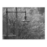 Street Lamp Post Card