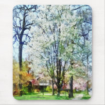 Street With White Flowering Trees Mousepads