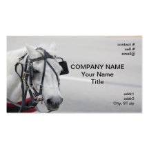 streetside tour horse business card template