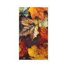 Stretched Canvas Print - 'I Love Fall'