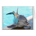 Strike a Pose (Dolphin Photo) Card