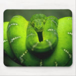Strike One! Mouse Mats
