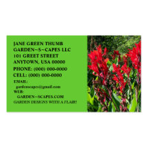 STRIKING CANNA BUSINESS CARDS ~ MAKE A STATEMENT!