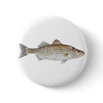 Striped Bass Art Button