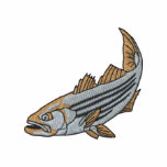 Striped Bass
