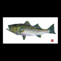 Striped Bass Gyotaku Open Edition posters