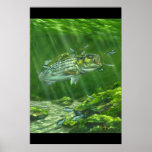 "Striped Bass on the Rocks" posters