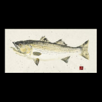Striped Bass/ Speckled paper posters