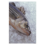 Striped bass custom stationery