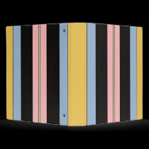 Striped Binder binders