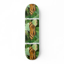 Striped Butterly Skateboard