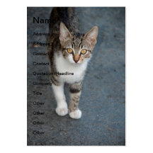 Striped cat business card template