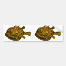 Striped cowfish bumper sticker