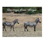 striped greetings post cards