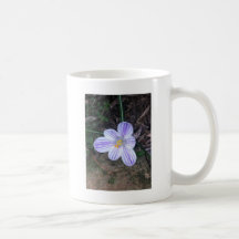 Striped Springtime Crocus Mugs